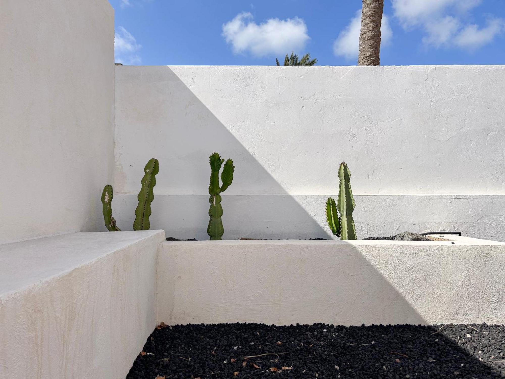 House Boho Palm With Private Heated Pool And Garden, 3 Bedrooms, Wi-Fi Corralejo Zewnętrze zdjęcie